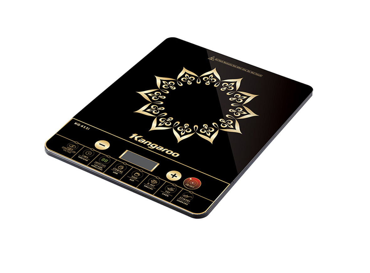 Bếp từ Kangaroo KG411i