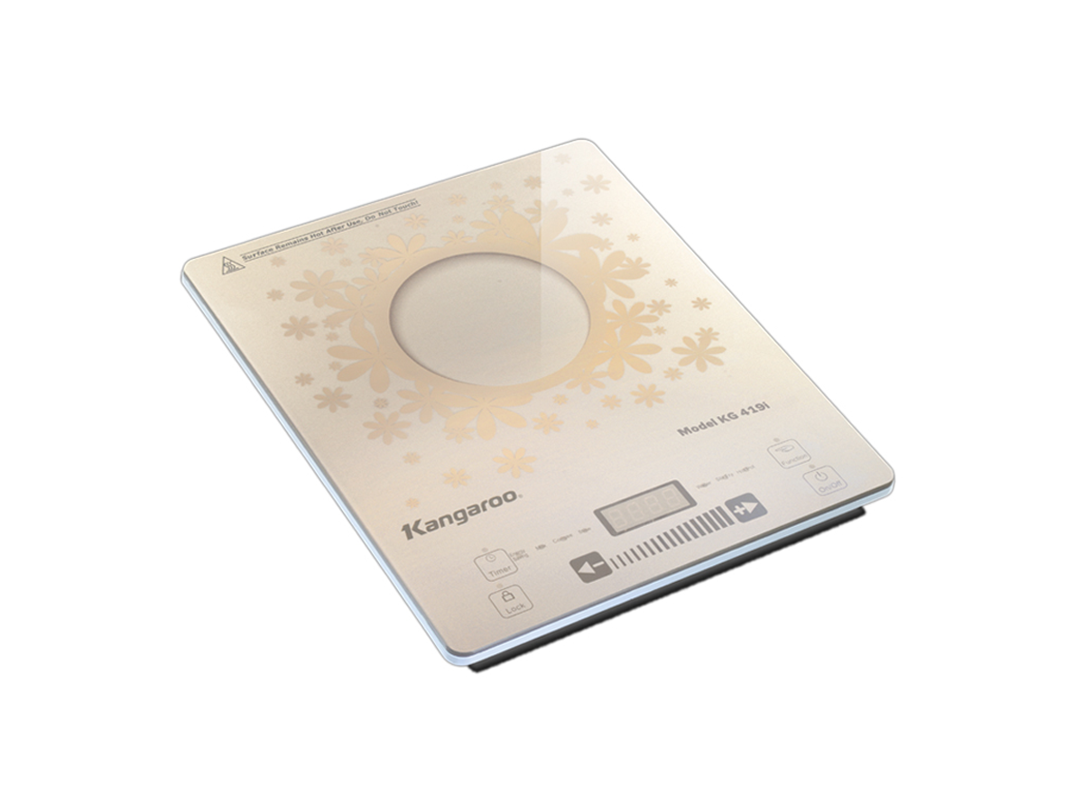 Bếp từ Kangaroo KG419i