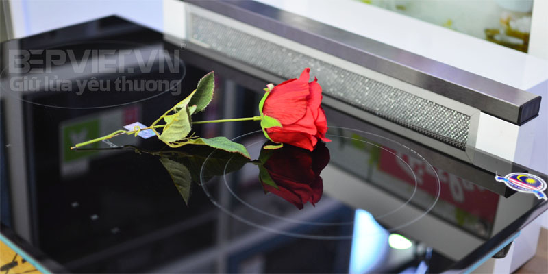 Bếp điện từ Canzy CZ66BS