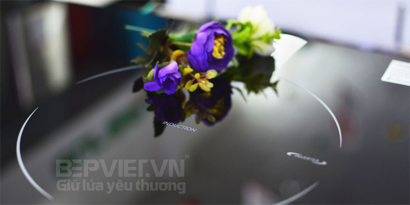 Bếp từ Canzy CZ 200SS