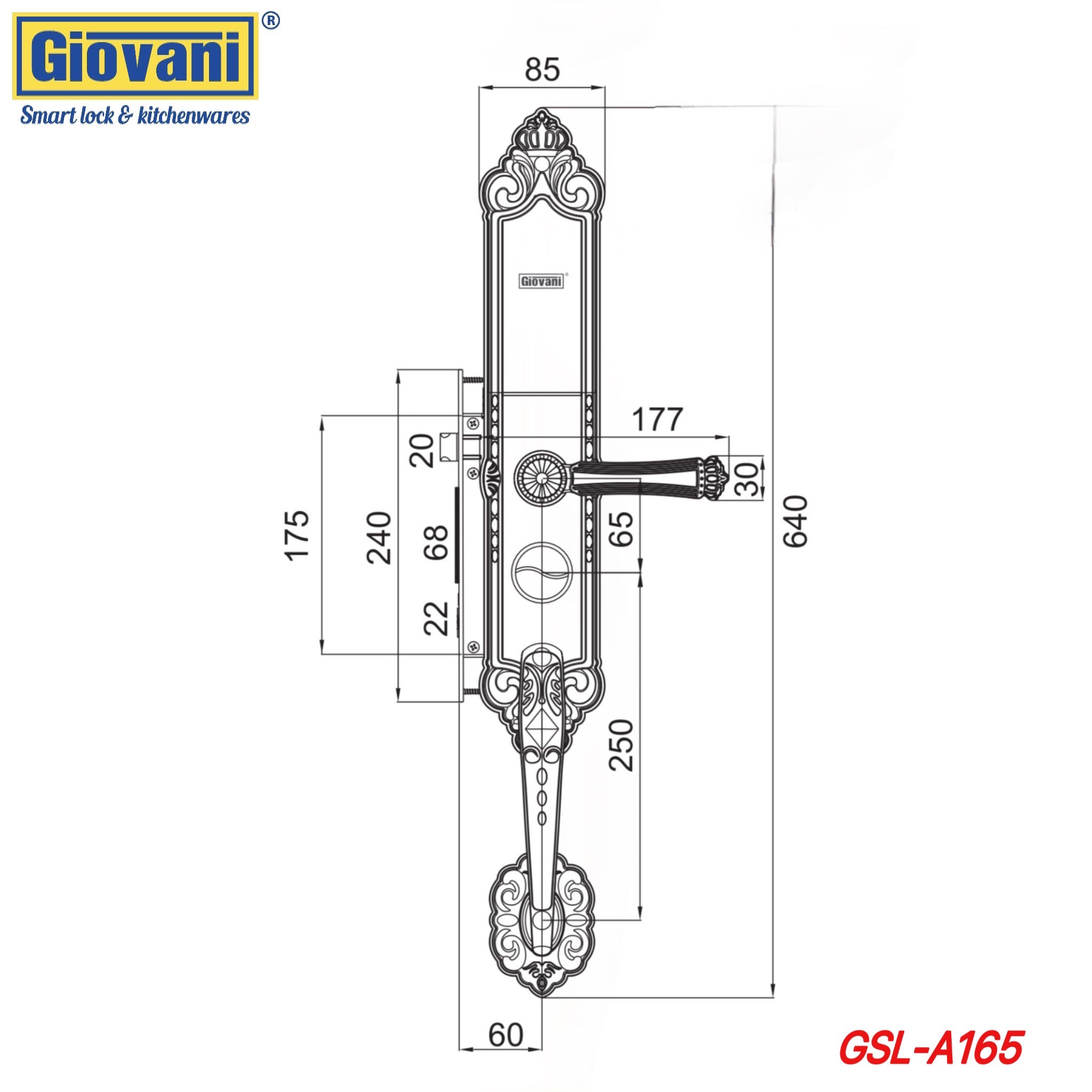 KHÓA CỬA ĐẠI SẢNH GIOVANI GSL - A165 MÀU ĐỒNG/VÀNG