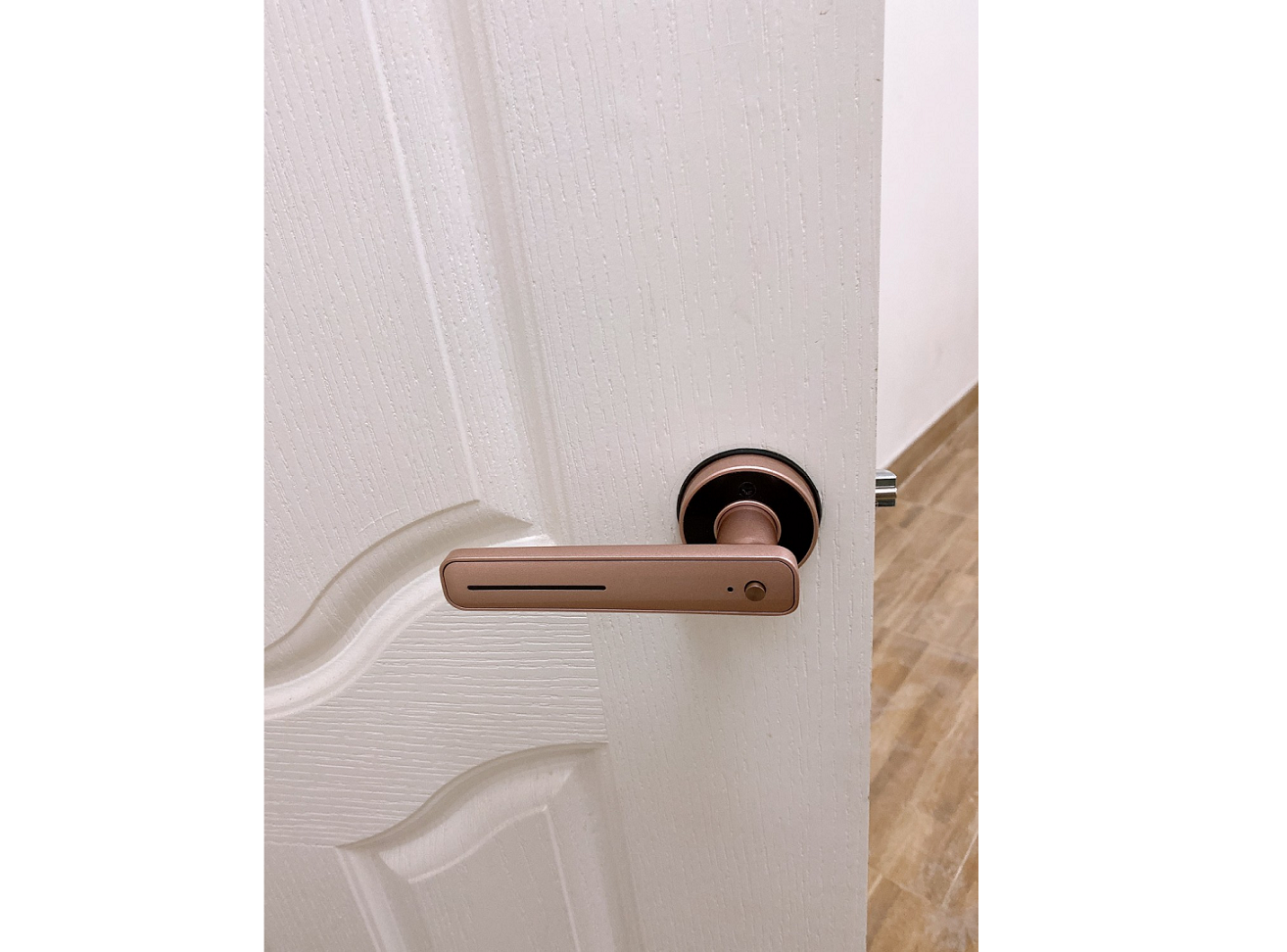 Khóa cửa vân tay Demax SL105